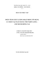 phân tích chất lượng hoạt động tín dụng cá nhân tại ngân hàng tmcp kiên long – chi nhánh đồng nai