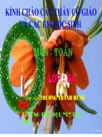 Bài toán rút về đơn vị