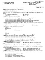 Đáp án đề thi HK1 Tin 11 (10 11)