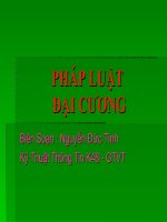 Bài giảng Pháp luật đại cương