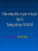 Mot so loai cay song tren can