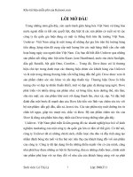 CHÍNH SÁCH sản PHẨM của DÒNG sản PHẨM CHĂM sóc tóc DOVE của UNILEVER   VIỆT NAM