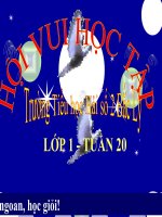 Rung chuong vang khoi 1