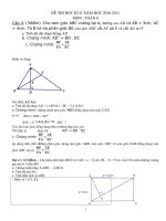 Một bài Toán HH 8 học Kì II