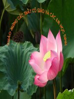 Ngữ văn 6  Tiết 94   Đêm nay Bác không ngủ