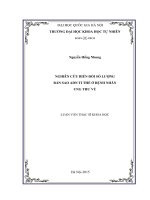 Nghiên cứu biến đổi số lượng bản sao ADN ti thể ở bệnh nhân ung thư vú 