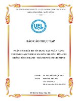 phân tích rủi ro tín dụng tại  ngân hàng thương mại cổ phần sài gòn thương tín, chi nhánh bình thạnh, thành phố hồ chí minh