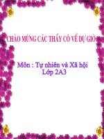 MỘT SỐ LOÀI CÂY SỐNG DƯỚI NƯỚC