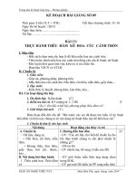 giao án nghề thêu tay   Khối 11