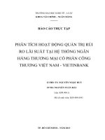 phân tích hoạt động quản trị rủi ro lãi suất tại hệ thống ngân hàng thương mại cổ phần công thương việt nam, vietinbank
