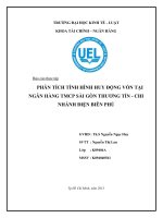 phân tích tình hình huy động vốn tại ngân hàng tmcp sài gòn thương tín  chi nhánh điện biên phủ