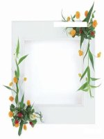 CÁC MẪU HÌNH NỀN POWERPOIT ĐẸP