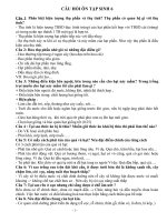 Câu hỏi ôn tập Sinh Học Trúc Vy 6A1