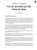 CÁC CHỈ TIÊU ĐÁNH GIÁ CHẤT LƯỢNG tín DỤNG 