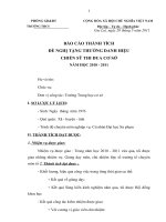 MẪU BÁO CÁO THÀNH TÍCH NĂM HỌC 2010   2011