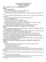 đề cwowng ôn tập địa 10 HKII