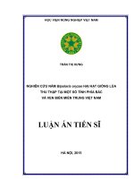 Nghiên cứu nấm Bipolaris oryzae hại hạt giống lúa thu thập tại một số tỉnh phía Bắc và ven biển miền Trung Việt Nam
