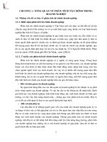 Phân tích tình hình tài chính chi nhánh công ty cổ phần thương mại KCS việt nam