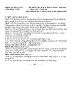 Đáp án Vật lý 10 HK22010 2011