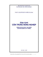 Giáo trình CÔN TRÙNG NÔNG NGHIỆP