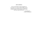 Thực trạng kế toán tiêu thụ và xác định kết quả kinh doanh tại công ty TNHH TM  DV Tấn Lậ