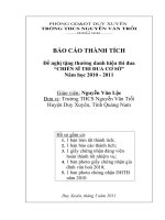 Báo cáo thành tích đề nghị CSTĐCS