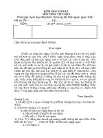 ĐỀ THI CUỐI NĂM MÔN TIẾNG VIỆT LỚP 4