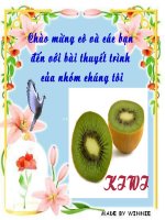 chiếc mũ tư duy