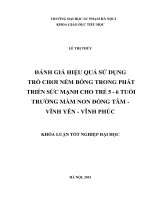 Đánh giá hiệu quả sử dụng trò chơi ném bóng trong phát triển sức mạnh cho trẻ 5   6 tuổi trường mầm non đồng tâm   vĩnh yên   vĩnh phúc