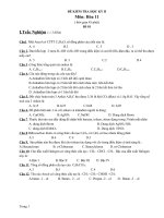 De Kiem Tra Hoa HK II Nam 2010   2011