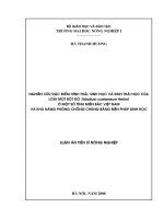 Nghiên cứu đặc điểm hình thái, sinh học và sinh thái học của loài mọt bột đỏ Tribolium castaneum Herbst ở một số tỉnh miền Bắc Việt Nam và khả năng phòng chống chúng bằng biện pháp sinh học