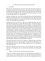 Khai thác than dưới tầng ngậm nước ở Trung Quốc