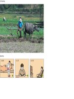 Bộ Ảnh Tiếng Anh Lớp 10 Cơ Bản