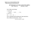 Đề thi HS yếu môn TV k2