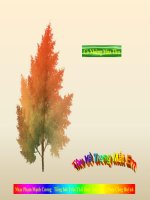 Thu về trong mắt em