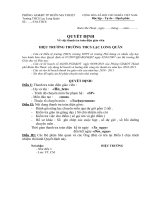 Mẫu quyết định thanh tra toàn diện GV