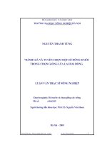 đánh giá và tuyển chọn một số dòng r mới trong chọn giống lúa lai hai dòng