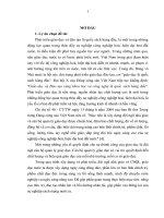 Một số giải pháp phát triển đội ngũ cán bộ quản lý trường tiểu học huyện Cẩm Xuyên tỉnh Hà Tĩnh