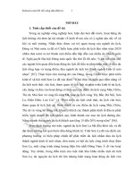 NGHIÊN cứu tổ CHỨC LÃNH THỔ DU LỊCH TỈNH sơn LA 