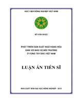 Phát triển sản xuất ngô hàng hóa gắn với bảo vệ môi trường ở vùng Tây Bắc Việt Nam