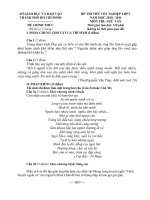 Đề Đáp án thi thử THPT 2011 HCM  Ngữ Văn