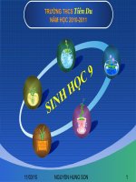 Tiết 16: ADN và bản chất của gen