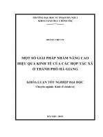 Một số giải pháp nhằm nâng cao hiệu quả kinh tế của các hợp tác xã thành phố hà giang
