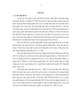 Một số giải pháp phát triển đội ngũ giáo viên trường trung cấp nghề Quảng Bình