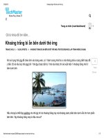 Khoảng trắng bí ẩn bên dưới thẻ img (Trích từ Techmaster vn)