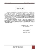 hệ thống chiết rót đóng nắp chai tự động