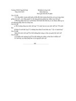 Đề kiểm tra học kì II lớp 9 Trường THCS Nguyễn Huệ Năm 2010 2011