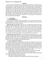 ĐỀ tài LUẬT một NHÀ đầu tư VIỆT NAM dự ĐỊNH TRIỂN KHAI 1 dự án xây DỰNG bến PHÀ nằm TRÊN địa bàn 2 TỈNH a và b, NHẰM đáp ỨNG NHU cầu vận CHUYỂN HÀNG hóa và HÀNH KHÁCH QUA DÒNG SÔNG nằm GIỮA địa bàn 