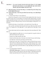 Hoàn thiện kế toán bán hàng và xác định kết quả bán hàng tại Công ty cổ phần Emin Việt Nam