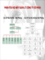 Phân tích bộ máy công ty cổ phần